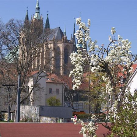 Hotelpension Am Dom Érfurt Exterior foto